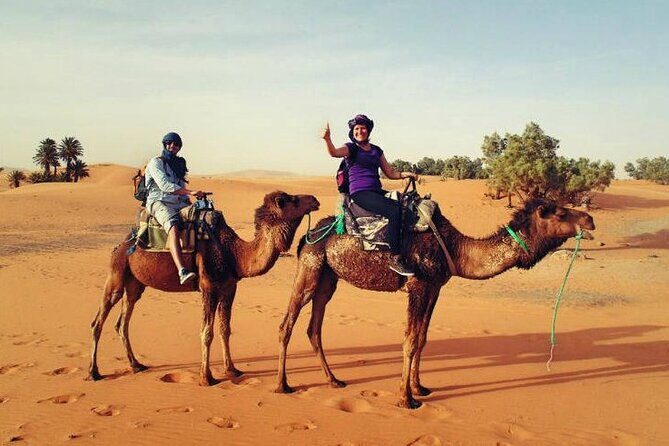 Camel Ride & Overnight Berber Camps in Merzouga Desert - What’s Included and What’s Not