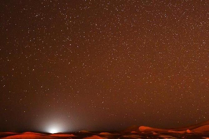 Camel ride & overnight in desert camp - The Sum Up: Who Should Consider This Tour?