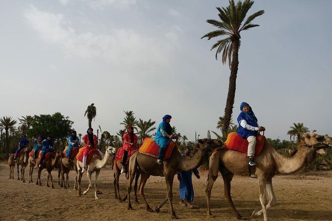 Camel Ride & Quad Bike tours in the palm grove of Marrakech - Key Points