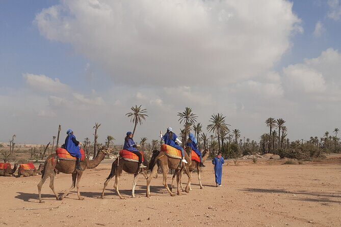 Camel Ride & Quad Bike tours in the palm grove of Marrakech - The Itinerary in Detail