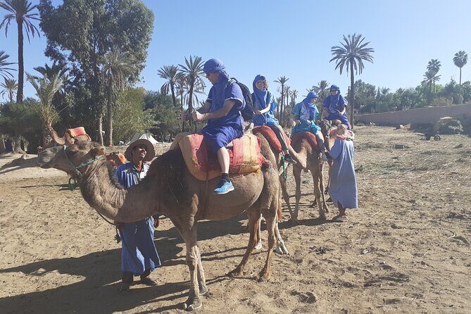 Camel Ride & Quad Bike tours in the palm grove of Marrakech - FAQs