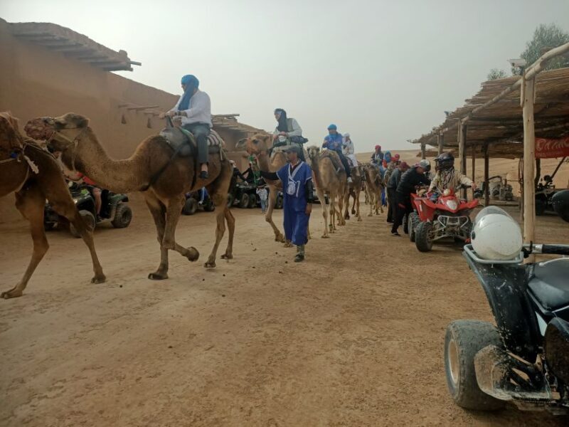 Camel Ride & Quad Tour In Agafay Desert With Lunch - Why Choose the Agafay Desert Tour?