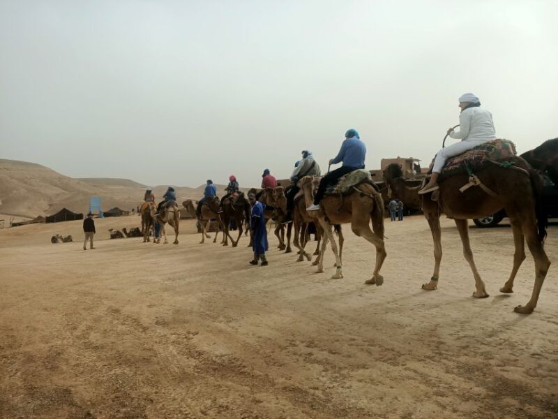 Camel Ride & Quad Tour In Agafay Desert With Lunch - The Value of the Tour