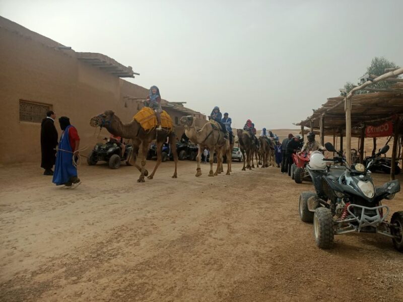 Camel Ride & Quad Tour In Agafay Desert With Lunch - Authentic Experience and Highlights