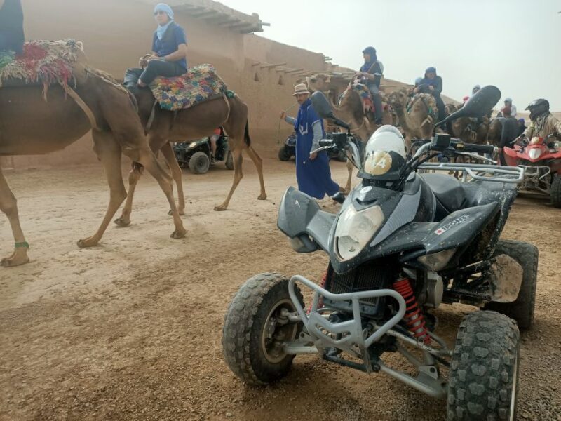 Camel Ride & Quad Tour In Agafay Desert With Lunch - FAQ