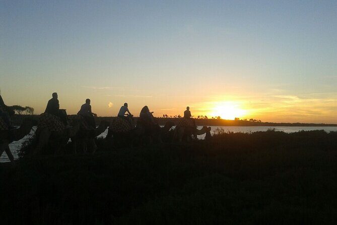 Camel ride + sunset + BBQ dinner in Agadir - Key Points  