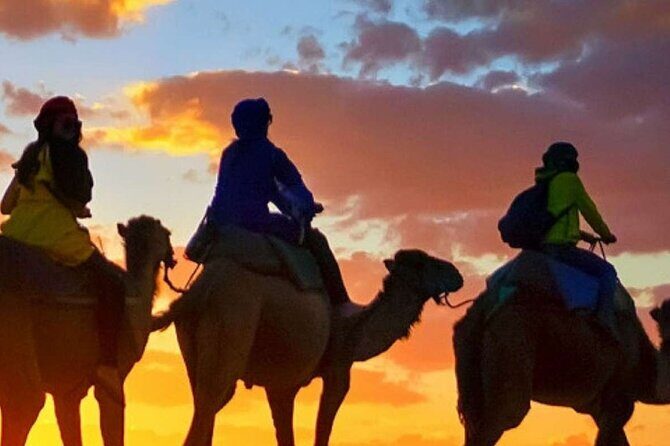 Camel ride + sunset + BBQ dinner in Agadir - An In-Depth Look at the Experience