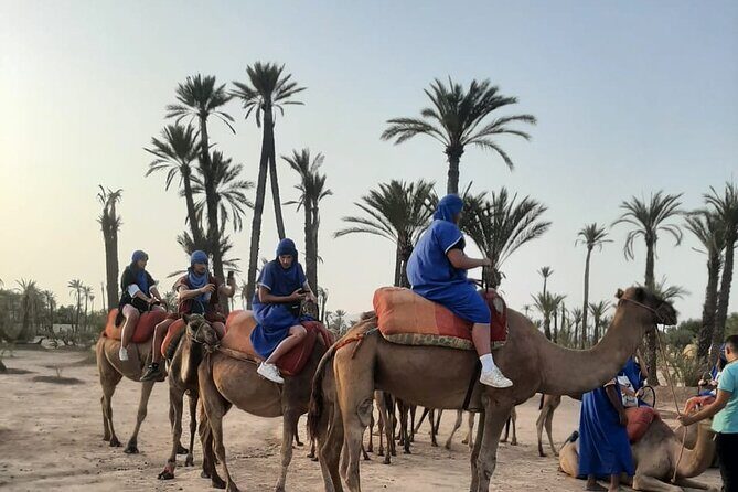 Camel Ride Through Marrakech's Palm Grove - The Cultural Touch: Traditional Clothes and Tea