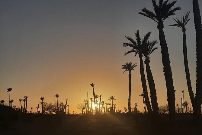 Camel Ride Through Marrakech's Palm Grove - Final Thoughts