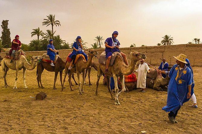 Camel Ride Tour in Marrakech - Camel Ride Tour in Marrakech: A Practical Guide to an Authentic Desert Experience