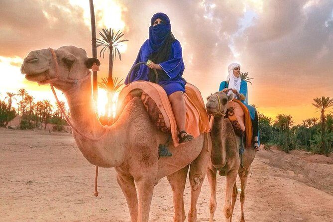 Camel Ride Tour in Marrakech - Who This Tour Suits Best
