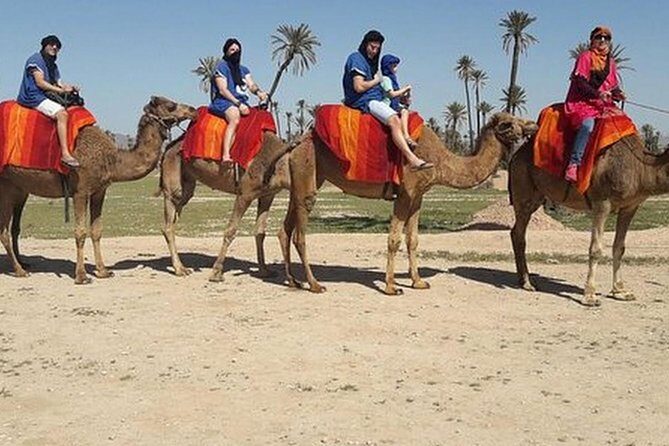 Camel Ride Tour in Marrakech - Frequently Asked Questions