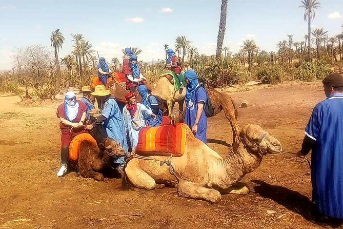 Camel Ride Tour in Marrakech - Final Thoughts