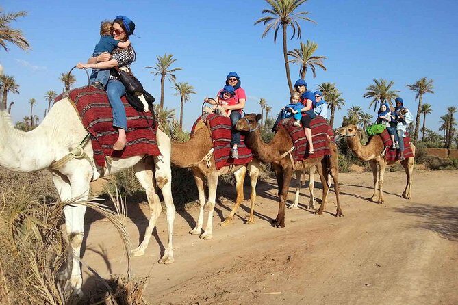 Camel ride tour in Marrakech - Key Points