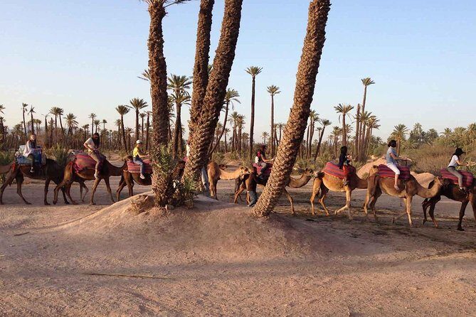 Camel ride tour in Marrakech - The Scenic Beauty and Photography Opportunities