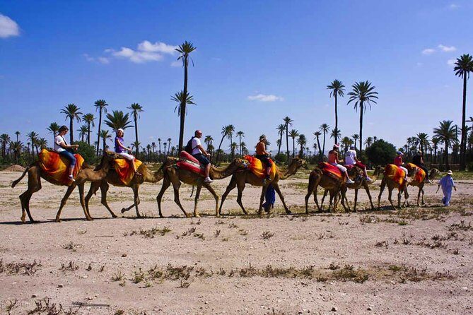 Camel ride tour in Marrakech - Ease of Transportation and Private Experience