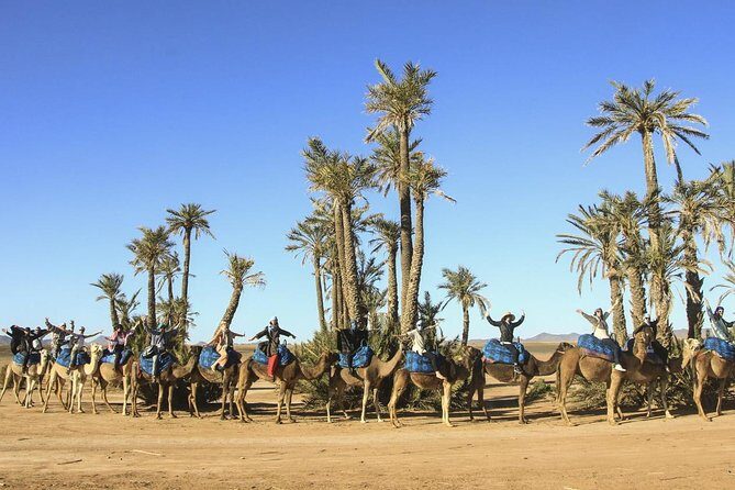 Camel ride tour in Marrakech - Price and Value
