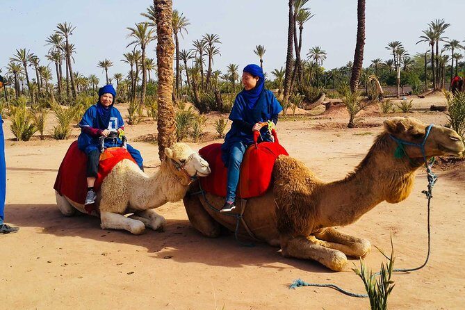 Camel ride tour in Marrakech - Authenticity and Reviews