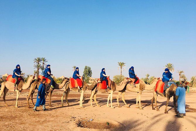 Camel ride tour in Marrakech - FAQ