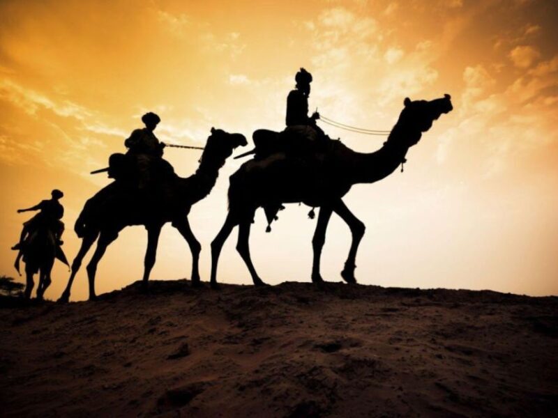 Camel ride tour in Palmerie of Marrakech - FAQ
