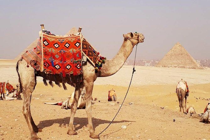 Camel Ride Trip Around Giza Pyramids During Sunrise Or Sunset - Who Should Book This Tour?