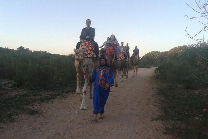 Camel Riding - What to Expect on the Camel Riding Tour