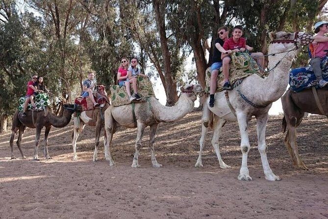 Camel Riding - The Sum Up