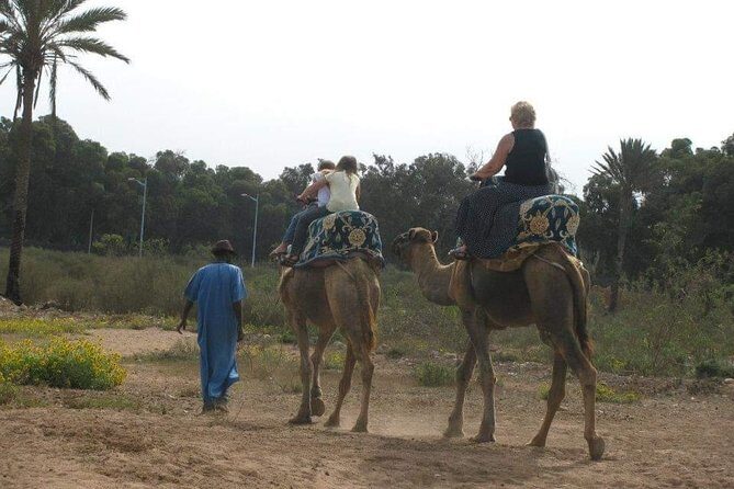 Camel Riding - FAQ