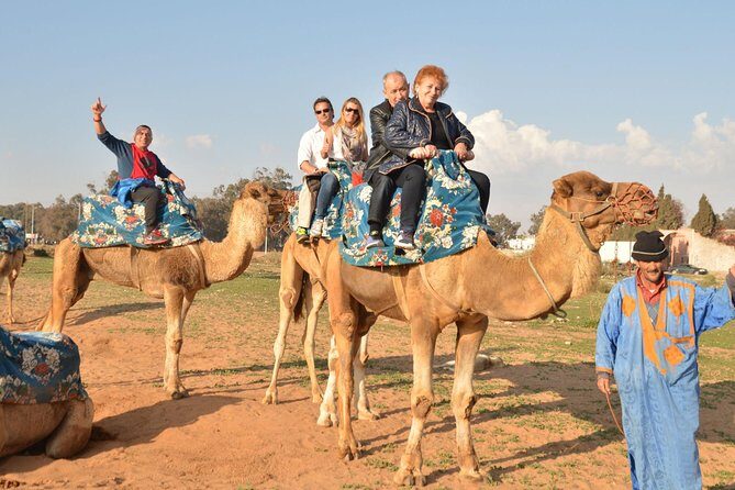 Camel riding in Agadir for Cruise ship Passengers - The Experience Breakdown