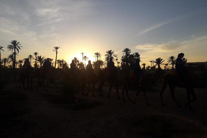 Camel riding in marrakech - What to Expect from the Marrakech Camel Riding Tour