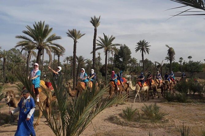 Camel riding in marrakech - Practical Details and Tips