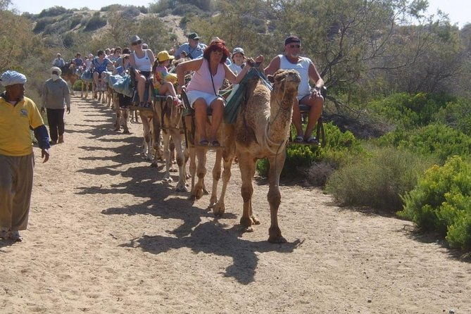 camel-riding-in-maspalomas-dunes