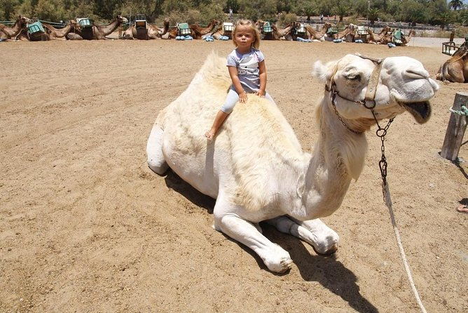 camel-riding-in-maspalomas-dunes