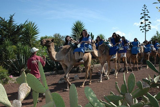 camel-riding-tour-at-el-tanque-tenerife