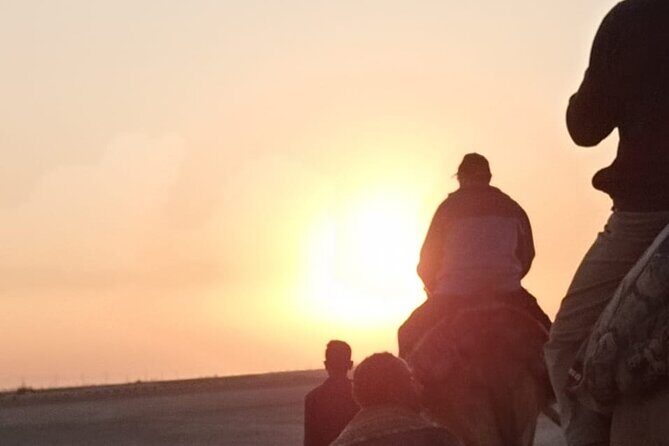Camel Riding Tour in Luxor West Bank - Ride Options and What to Expect