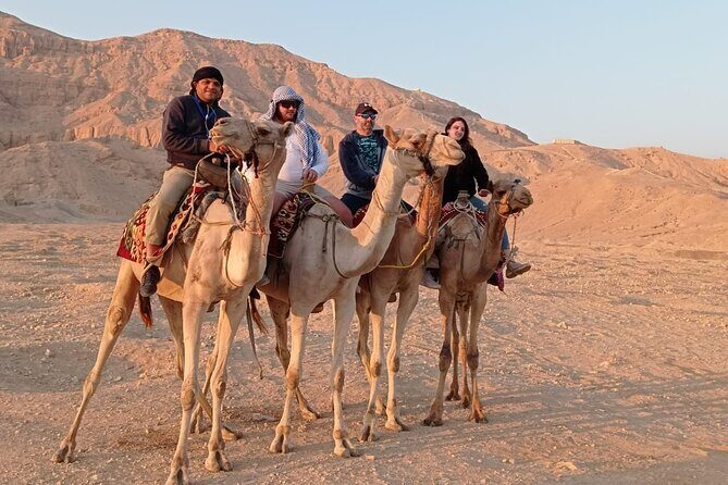 Camel Riding Tour in Luxor West Bank - Logistics and Practical Details