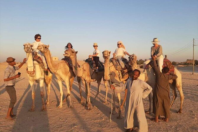 Camel Riding Tour in Luxor West Bank - The Sum Up