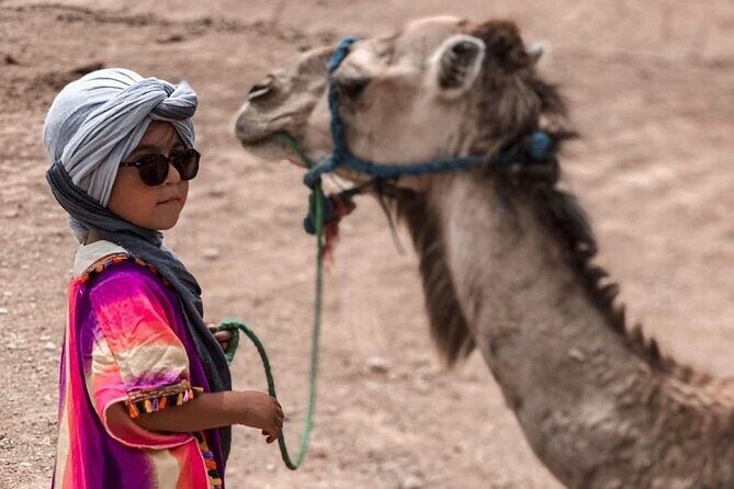 Camel Safari and Dinner Show in the Agafay Desert - Introduction: What to Expect from the Agafay Desert Tour