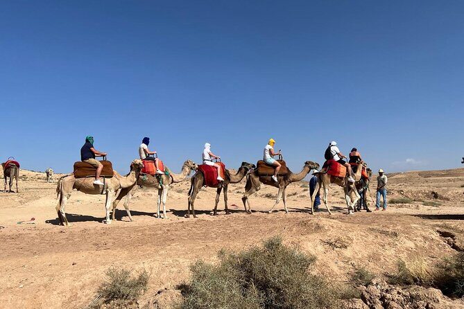 Camel Safari and Dinner Show in the Agafay Desert - Authentic Moments Cited from Reviewers