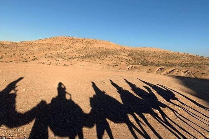 Camel Safari and Dinner Show in the Agafay Desert - Practical Tips for Booking and Participating