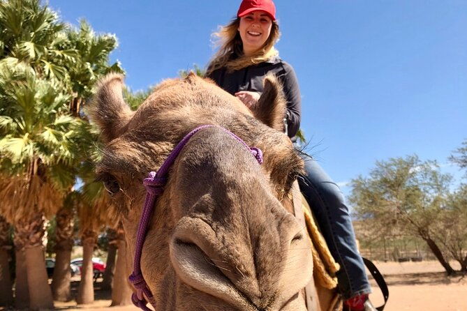 camel-safari-camel-ride-and-zoo-tour