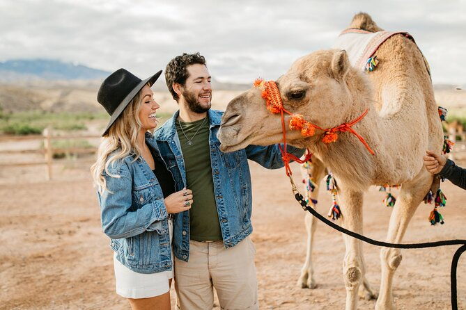 camel-safari-camel-ride-and-zoo-tour
