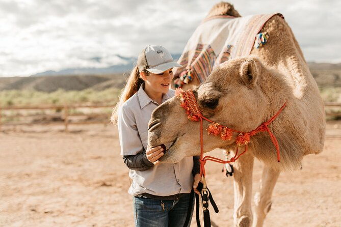 camel-safari-camel-ride-and-zoo-tour