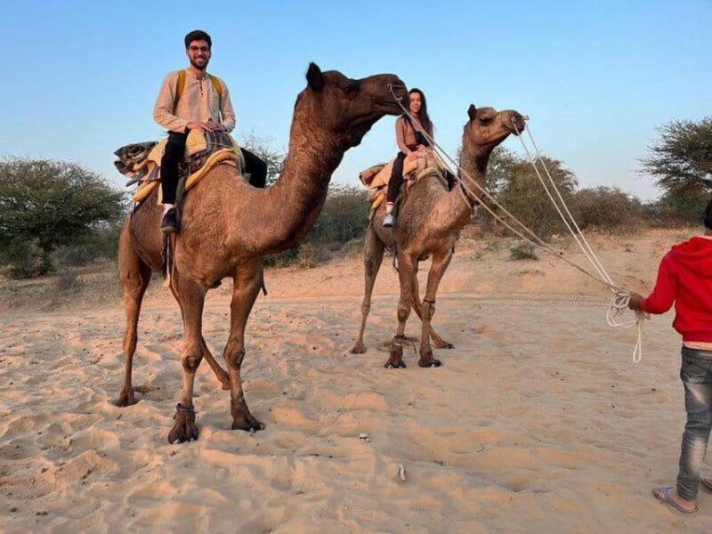 Camel Safari Tour From Jodhpur - Final Thoughts: Who Should Consider This Tour?