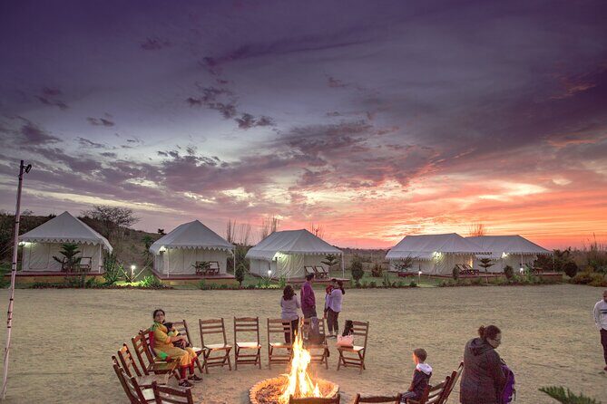Camel Safari With Night Stay in Camp - Final Thoughts on the Camel Safari with Night in Camp