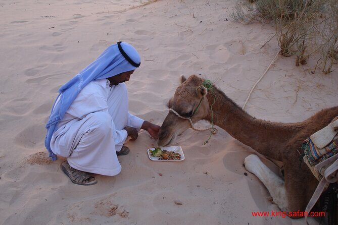 Camel Tour from Dahab - Key Points