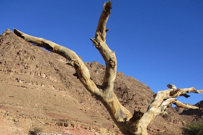 Camel Tour from Dahab - Practical Details and Tips