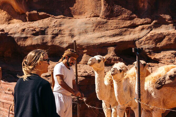 Camel Tours in Wadi Rum Desert | Magic Bedouin Star - In-Depth Look at the Camel Tour Experience