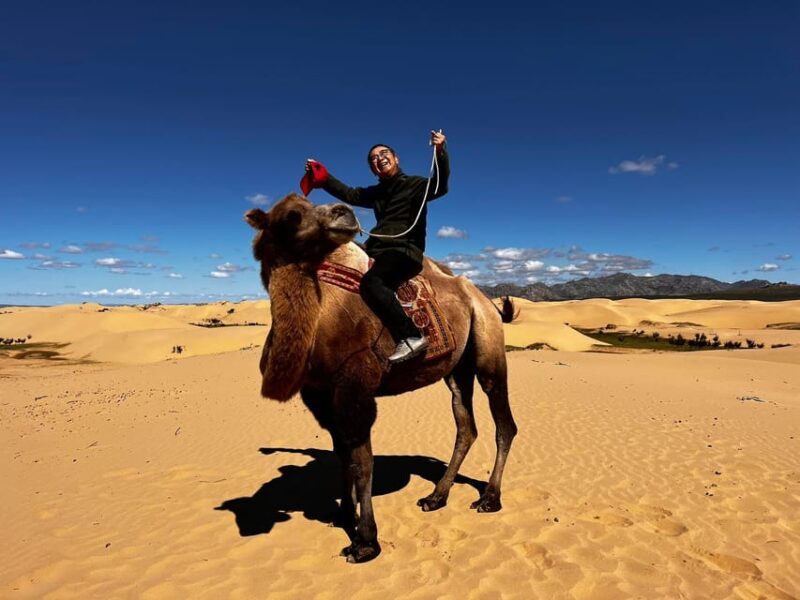 Camel Trails and Bird Tales: Discovering Elsen Tasarkhai - Who Should Consider This Tour?
