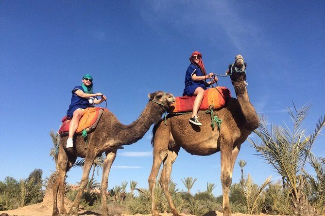 Camel Trek Around Marrakech Palmeraie - Practical Tips for Your Camel Trek